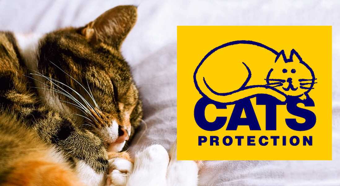 Moray Cats Protection - seeking assistance.