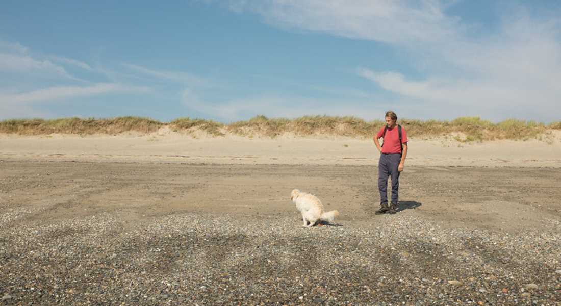 Plain clothes patrols will seek to catch dog foulers.